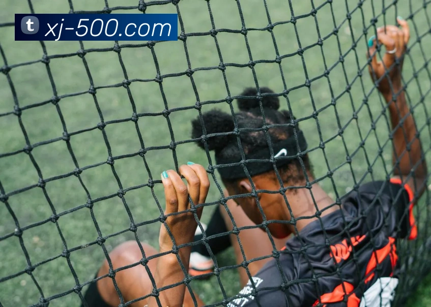 500彩票网官方发展历程